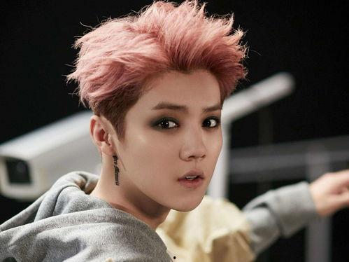 明星谈鹿晗,揭秘明星背后的成长与蜕变